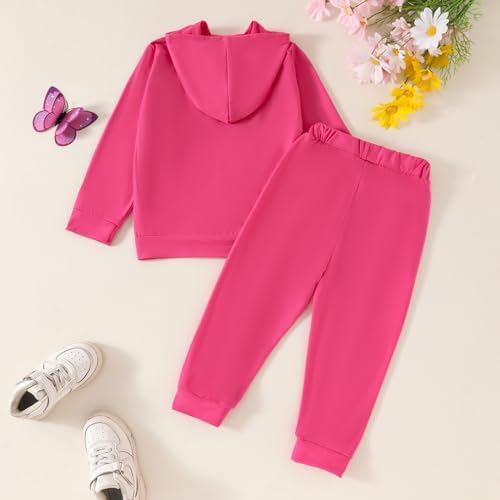 Butterfly Floral Print Toddler Hoodie Set