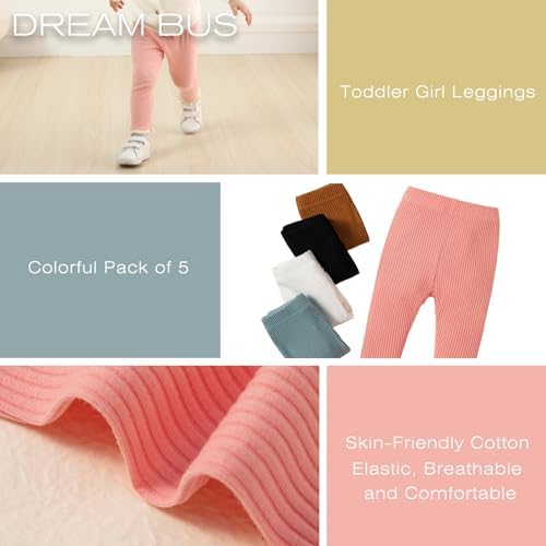 DREAM BUS 5 Pack Toddler Girl Thick Bottoms with Lace Trim