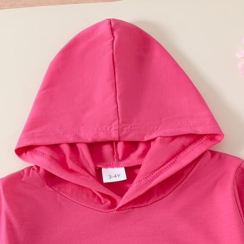 Butterfly Floral Print Toddler Hoodie Set