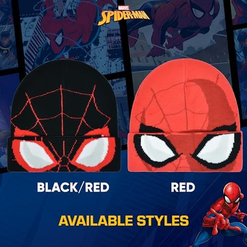 Spider-Man Marvel Inspired Beanie