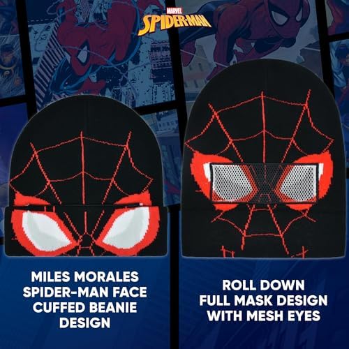 Spider-Man Marvel Inspired Beanie