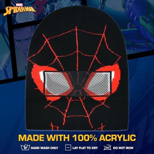 Spider-Man Marvel Inspired Beanie