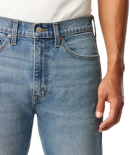 Levi Strauss Gold Mens Western Jeans